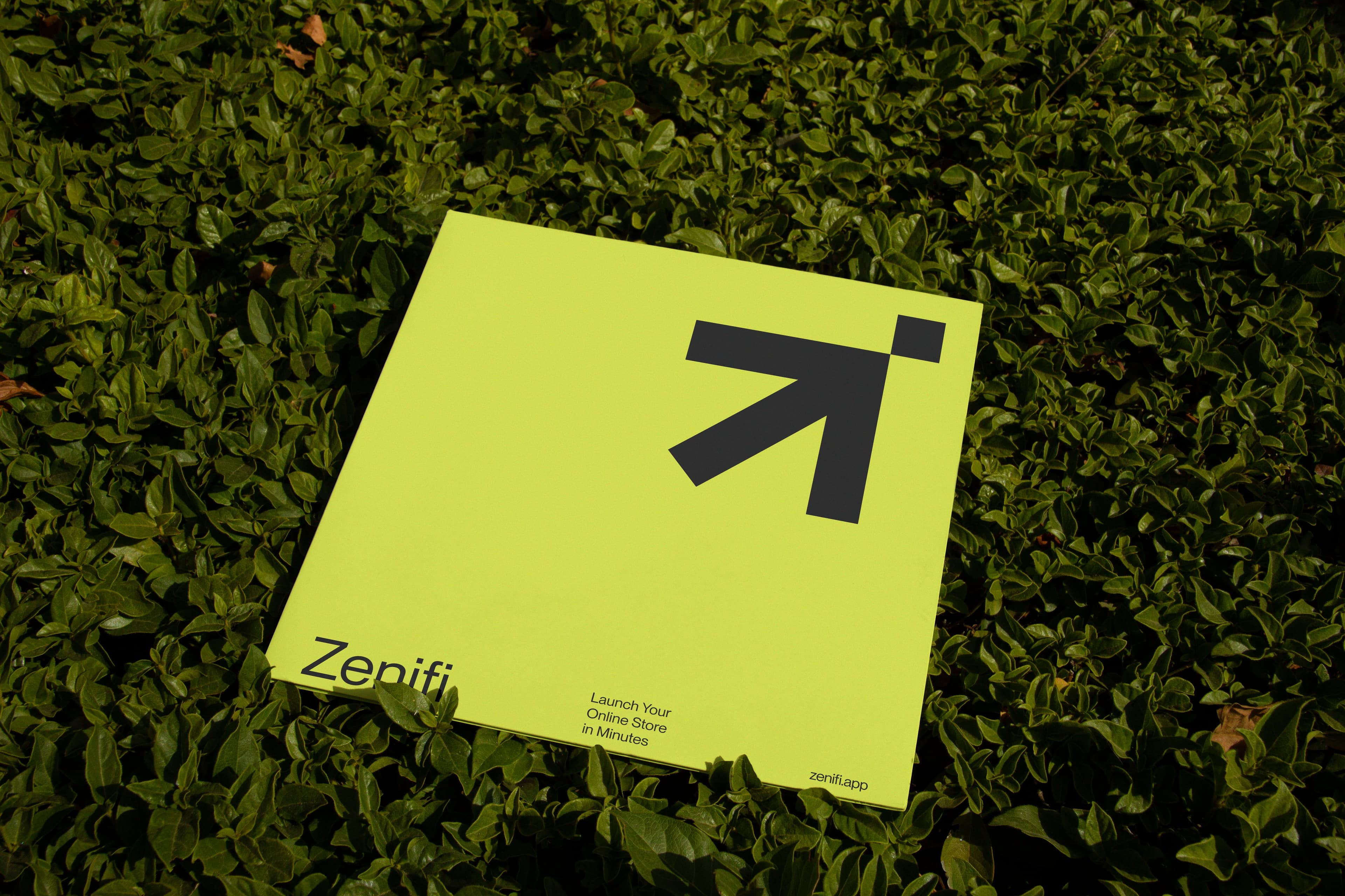 Zenifi Vinyl